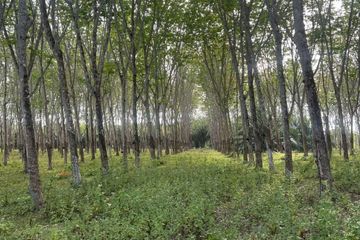 Land for sale in Khok Kloi, Phang Nga