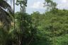 Land for sale in Khuekkhak, Phang Nga