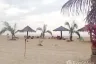 Land for sale in Ko Kho Khao, Phang Nga