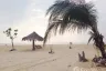 Land for sale in Ko Kho Khao, Phang Nga