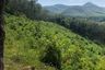 Land for sale in Thai Chang, Phang Nga
