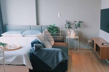 1 Bedroom Condo for rent in The Base Rama 9 - Ramkhamhaeng, Hua Mak, Bangkok near MRT Ramkhamhaeng 12