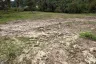 Land for sale in Mae Nam, Surat Thani
