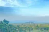 Land for sale in Mae Nam, Surat Thani