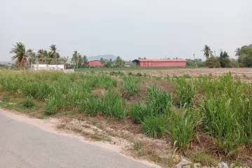 Land for sale in Samnak Thon, Rayong