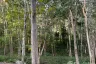 Land for sale in Mae Nam, Surat Thani
