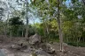 Land for sale in Mae Nam, Surat Thani