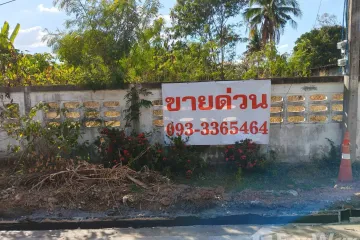 Land for sale in Nong Don, Buriram