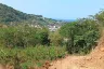 Land for sale in Karon, Phuket