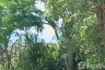 Land for sale in Karon, Phuket