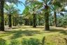 Land for sale in Mo, Phang Nga