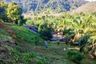 Land for sale in Mo, Phang Nga