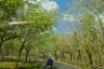 Land for sale in Mai Khao, Phuket