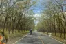 Land for sale in Mai Khao, Phuket