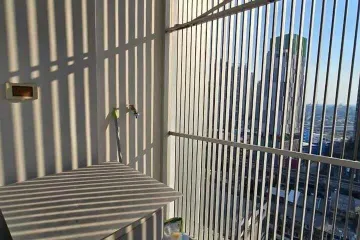 1 Bedroom Condo for rent in Phra Khanong Nuea, Bangkok near BTS Phra Khanong