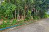 Land for sale in Nong Chom, Chiang Mai