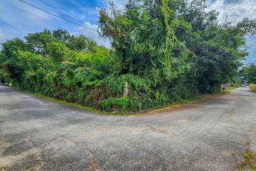 Land for sale in Nong Chom, Chiang Mai