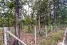 Land for sale in On Klang, Chiang Mai