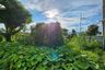 Land for sale in Fa Ham, Chiang Mai