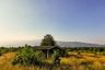 Land for sale in Nong Pla Sawai, Lamphun