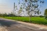 Land for sale in San Phak Wan, Chiang Mai