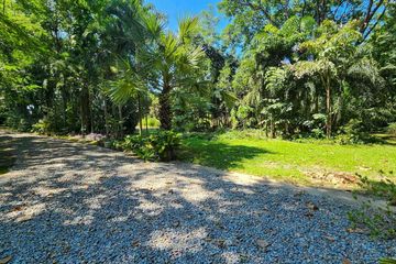 Land for sale in San Phak Wan, Chiang Mai