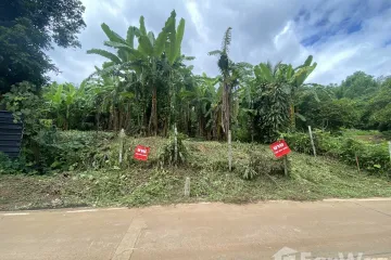 Land for sale in Mae Raem, Chiang Mai