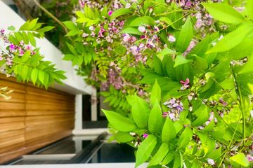 3 Bedroom House for Sale or Rent in VIVE Rama 9, Saphan Sung, Bangkok