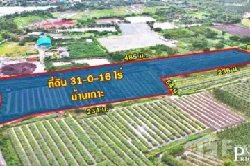 Land for sale in Ban Ko, Samut Sakhon