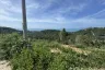 Land for sale in Mae Nam, Surat Thani