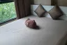 1 Bedroom Condo for rent in Zenith Place Sukhumvit 42, Phra Khanong, Bangkok near BTS Ekkamai