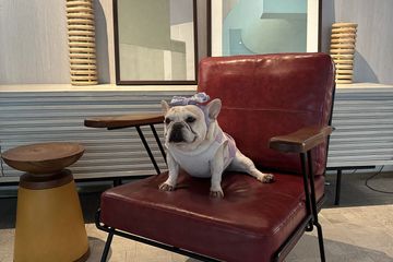 1 Bedroom Apartment for rent in Chong Nonsi, Bangkok