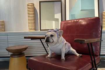 1 Bedroom Apartment for rent in Chong Nonsi, Bangkok