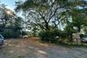 Land for sale in Nong Prue, Chonburi