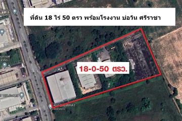 Land for sale in Nong Prue, Chonburi