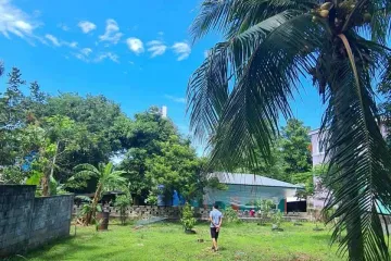 Land for sale in Rawai, Phuket