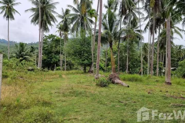 Land for sale in Khanom, Nakhon Si Thammarat