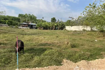 Land for sale in Thep Krasatti, Phuket