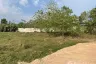 Land for sale in Thep Krasatti, Phuket