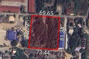 Land for sale in Nong Prue, Chonburi