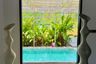 5 Bedroom Villa for rent in Karon, Phuket