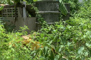 Land for sale in Thepharak, Samut Prakan near MRT Si Thepha