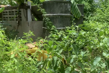 Land for sale in Thepharak, Samut Prakan near MRT Si Thepha