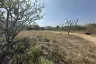 Land for sale in Nong Kae, Prachuap Khiri Khan