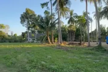 Land for sale in Lipa Noi, Surat Thani