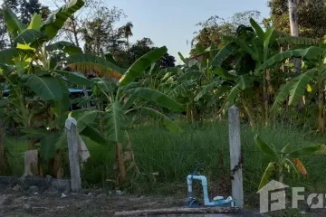 Land for sale in Huai Yai, Chonburi