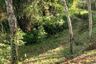 Land for sale in Kalai, Phang Nga