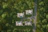 3 Bedroom House for sale in Walee House, Ko Pha-ngan, Surat Thani
