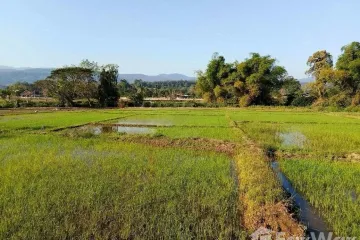 Land for sale in Saluang, Chiang Mai