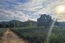 Land for sale in Nong Ta Taem, Prachuap Khiri Khan